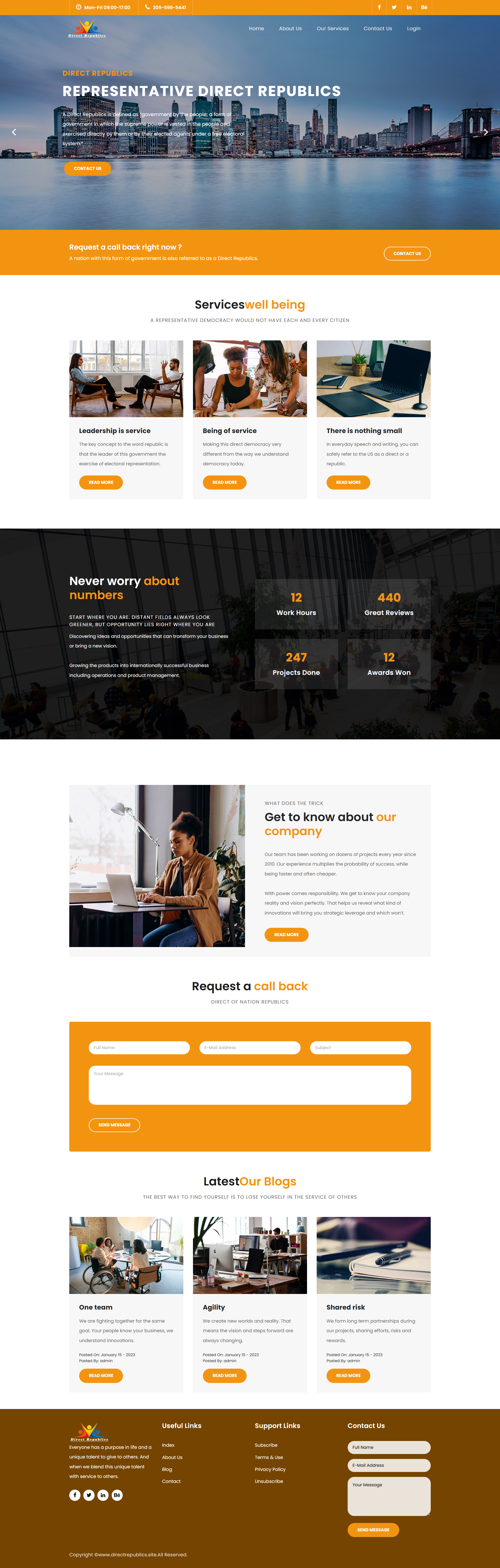 Direct Republics website design
